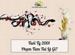 2001 Tam Tai Những Năm Nào