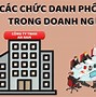 Chức Danh Nghề Nghiệp Hạng I Là Gì