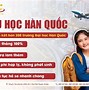 Có Nên Đi Xuất Khẩu Lao Động Hàn Quốc Không