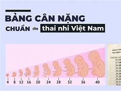 Thai Nhi 33 Tuần Nặng Bao Nhiêu Kg